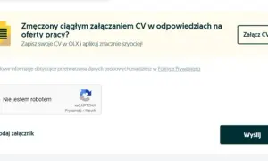 Jak wysłać CV przez OLX? Praktyczny przewodnik krok po kroku