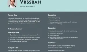 Jak napisać podsumowanie zawodowe CV? Praktyczny przewodnik krok po kroku