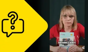 Jak zostać kierowcą zawodowym? Kompletny przewodnik (wymagania, koszty)