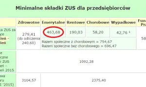 Ile lat pracy do emerytury? Sprawdź staż: 20/25 lat, co wlicza ZUS