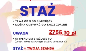 Staż z Urzędu Pracy 2025: Zasady, prawa i jak zacząć