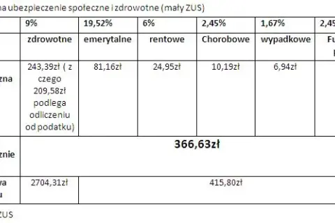 Etat i firma: Jak połączyć? ZUS, podatki, formalności