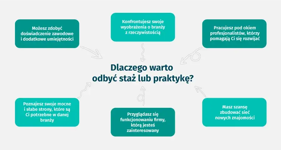 różne rodzaje staży w Polsce infografika