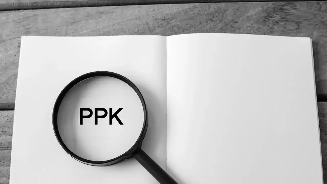 Kary finansowe za niedopełnienie obowiązk&oacute;w PPK